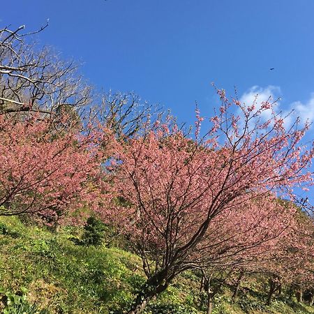 Dogashima Onsen Hotel Нисиидзу Экстерьер фото
